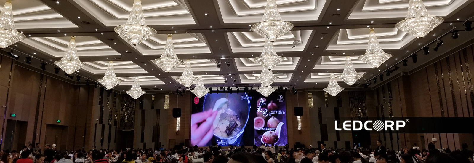 quality LED Neon Flex / Top Bend (Pro/CCT/RGB/Digital/DMX/3D) factory