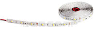 5050 30 LED/m Constant Current Ultra Long 20m/roll 12V Home  Flexible SMD LED Strip Lighting Uniform Brightness