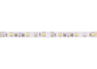 5050 Waterproof RGB LED Strips 60 LEDs / m RGBW 24 Volt LED Strip Lights