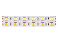 5050 120LEDs/m Warm+White 24V Bi Color LED Strips , Flexible LED Light Strip IP20 CE RoHS