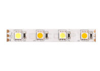 5050 Super Bright Bi Color LED Strip 12V 60LEDs / M Waterproof LED Strip Lights