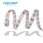 LEDCORP RGBWCW(5in1) Strip 60LEDs/m single line IP68