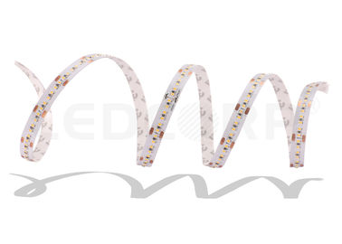 New 2110 SMD 240LED Flexible LED Strips Manufacturer Low power Single color Ultra Bright